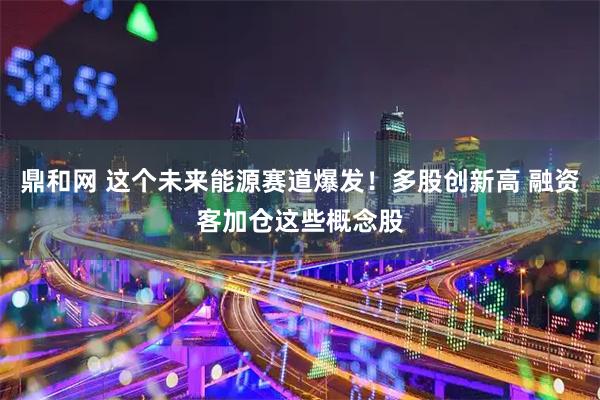 鼎和网 这个未来能源赛道爆发！多股创新高 融资客加仓这些概念股