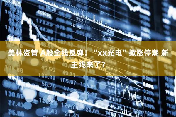 美林资管 A股全线反弹！“xx光电”掀涨停潮 新主线来了？