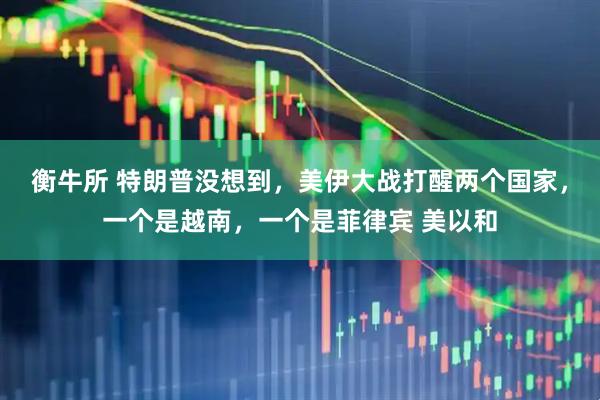 衡牛所 特朗普没想到，美伊大战打醒两个国家，一个是越南，一个是菲律宾 美以和