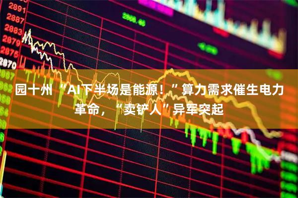 园十州 “AI下半场是能源！”算力需求催生电力革命，“卖铲人”异军突起