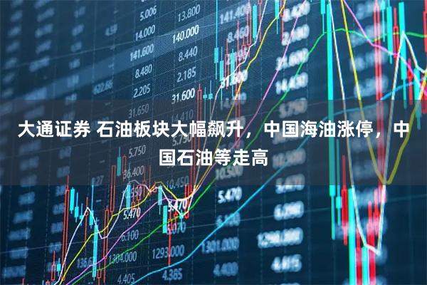 大通证券 石油板块大幅飙升，中国海油涨停，中国石油等走高