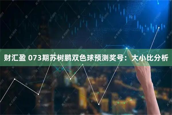 财汇盈 073期苏树鹏双色球预测奖号：大小比分析