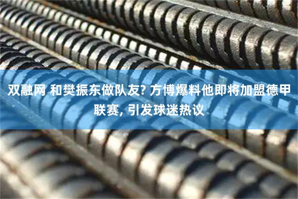 双融网 和樊振东做队友? 方博爆料他即将加盟德甲联赛, 引发球迷热议